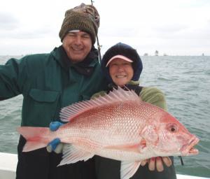 A Nice Red Snapper Before Release